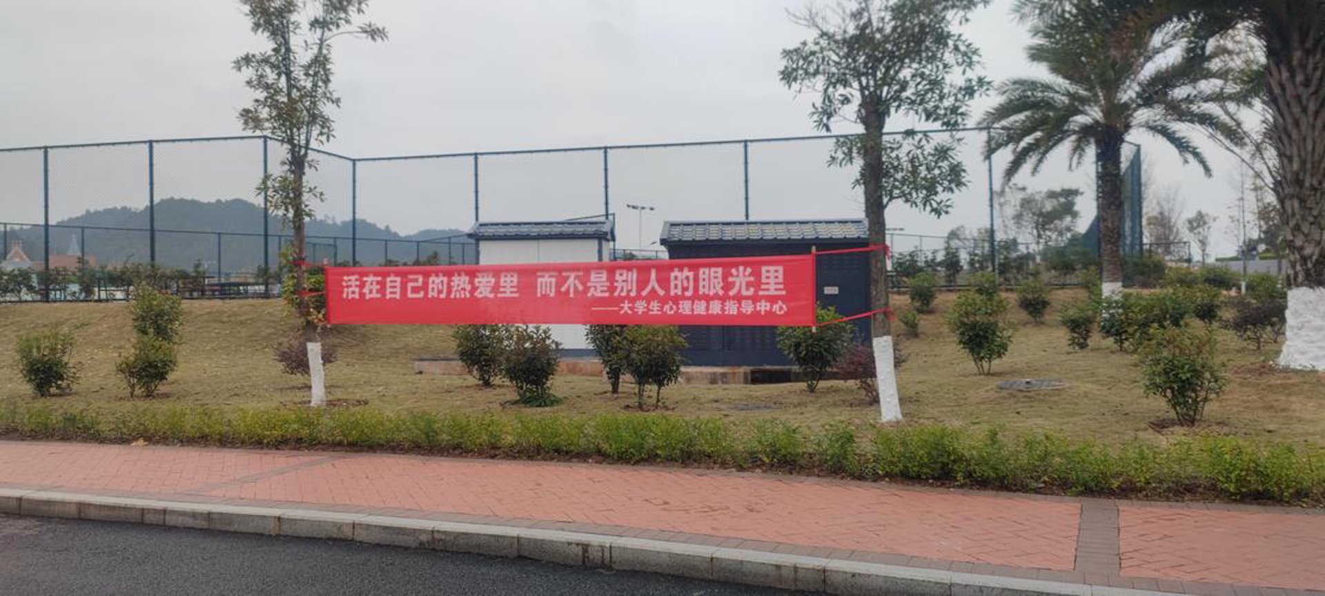 悦好健康管理